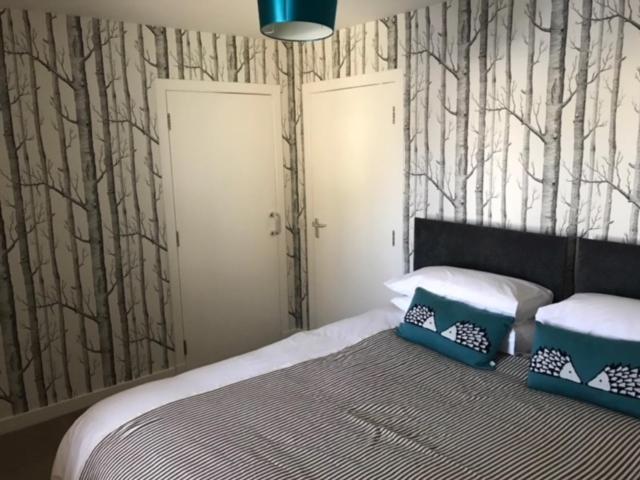 Thurso Self Catering Pet Friendly Holiday Lets Zewnętrze zdjęcie